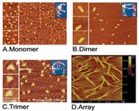 RNA Could Form Building Blocks For Nanomachines