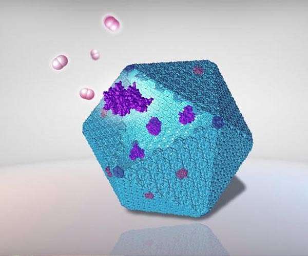 New protein nanobioreactor designed to improve sustainable bioenergy production