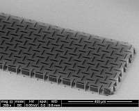 Penn engineers develop ultrathin, ultralight nanocardboard