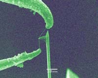 On The Cutting Edge: Carbon Nanotube Cutlery