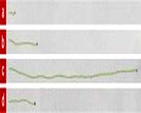 Revving Up The World's Fastest Nanomotors