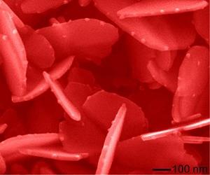 First Certified Reference Material For Nanoparticle Size Analysis