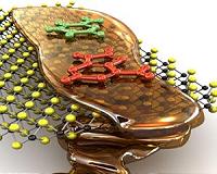 DNA sequencing improved by slowing down
