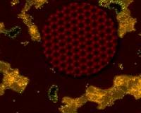 Desalination using a nanoporous graphene membrane