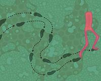 Researchers build nanoscale autonomous walking machine from DNA