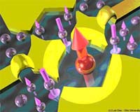 Double Quantum Dots Control Kondo Effect