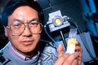 Nanobelts Offer Potential for Nanosensors and Nanoelectronics