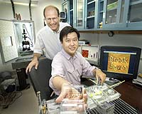 Writing At The Nanoscale