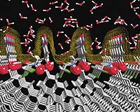 Nano World: Software To Speed Nanotech