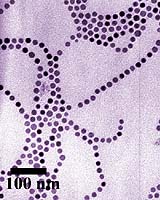 Magnetic Nanoparticles Assembled Into Long Chains