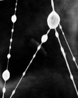 Turning Cellulose Waste Into Nanofibre