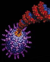 Nano World: A Nano DNA-Delivery System