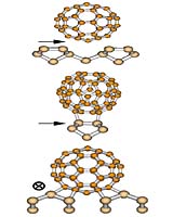 Purdue Simulation To Help Merge Molecules With Silicon Electronics