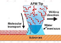Both Shape And Size Matter In Tiny World Of Nanoparticles