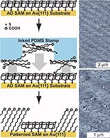 New Microprinting Technique Improves Nanoscale Fabrication