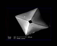 Nanotechnology's Homeland Security Potential To Be Explored