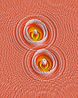 Nano World: Nano Radios For Microchips
