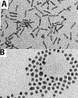 Nanocrystals Show A Quick Route To Change
