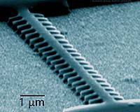 Tough New Probe Developed For Nanotechnologists