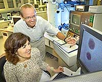 Scientists Study and Learn To Prevent Nanoparticle Merging