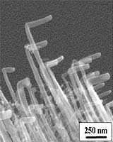 Nanotech Advance Makes Carbon Nanotubes More Useful