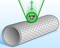 Like The Famous Doughboy, Nanotubes Give When Poked