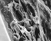 UCLA Chemists Report New Nano Flash Welding