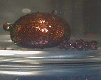 Chemists Use 'Chaperones' To Direct Nanoparticles In Drop Of Liquid