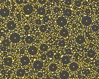 Real-time monitoring of surface changes at the atomic level