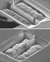 Nanotech Offers Data Storage At One Terrabyte Per Square Inch