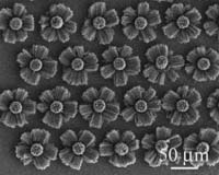 New Technique Could Fine-Tune Performance Of Nanotube-Laced Material