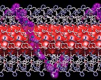 Carbon Nanotubes That Detect Disease Causing Mutations Developed By Pitt Researcher