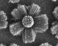 Nanotubes Surprise Again: Ideal Photon Emission