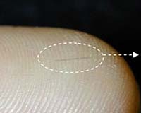 Selective Coatings Create Biological Sensors From Carbon Nanotubes
