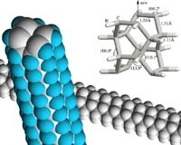 Nanotubes That Can Change Color, Form 'Nanocarpet' And Kill Bacteria