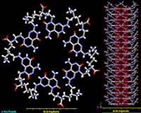 Self-Assembling 'Nanotubes' Offer Promise For Future Artificial Joints