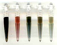 Sorting Carbon Nanotubes Help Advance Nano-Electronics Applications