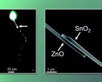 A Guiding Light On The Nanoscale
