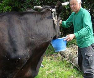 Japanese chef brings taste of Fukushima to France