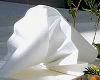 Biodegradable Napkin With Sensitive Nanofibers May Quickly Detect Biohazards