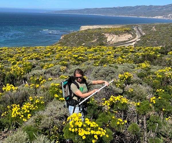 NASA Takes to the Air to Study Wildflowers