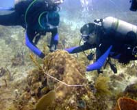NASA Crew Goes Under Water To Study Outer Space