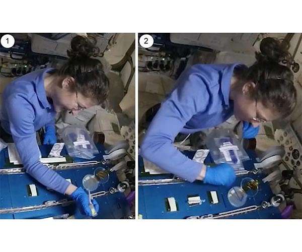 Astronauts demonstrate CRISPR/Cas9 genome editing in space