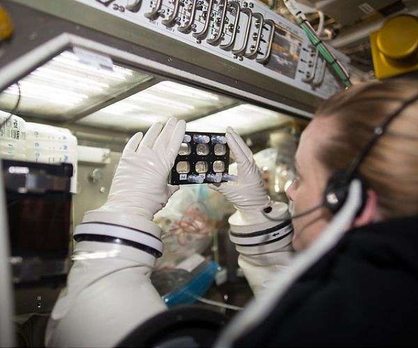 Heart Cells in Space Help Advance Treatments for Cardiovascular Disease