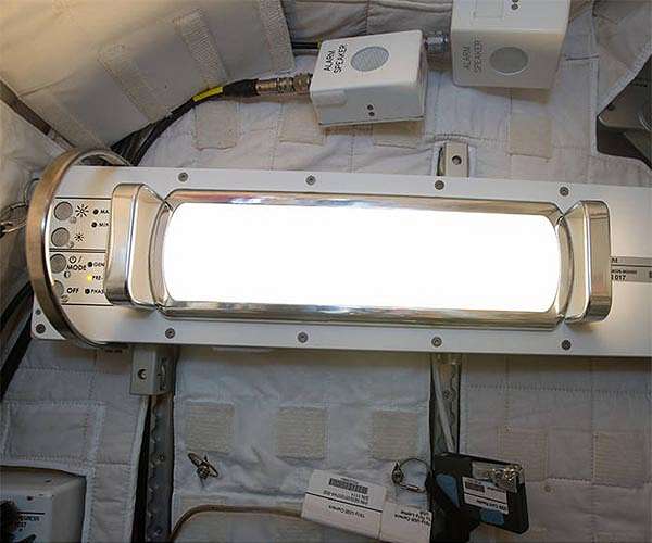 NASA Research Boosts LED Lamps for Home and Garden