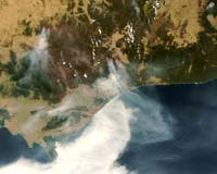 US Firefighters To Bolster Multinational Effort To Control Australian Bushfires