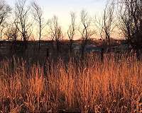 Wet winters may not dampen small wildfires