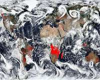 Help make a better world land map with NASA App