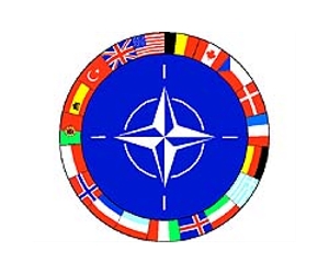 Russia voices scepticism over NATO missile shield