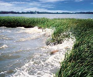 Local factors cause dramatic spikes in coastal ocean acidity